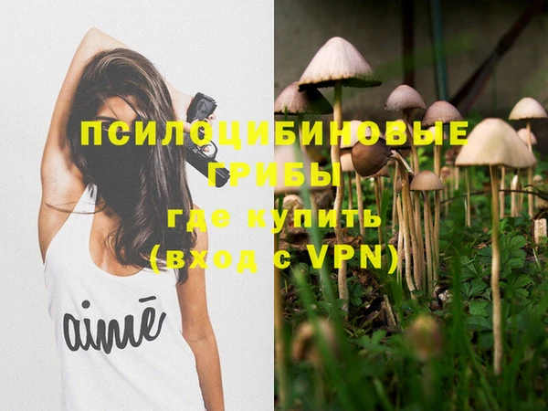 таблы Гусь-Хрустальный